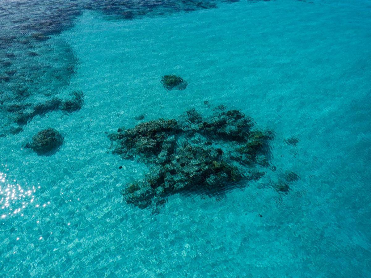 One The Island Otel Naifaru Dış mekan fotoğraf